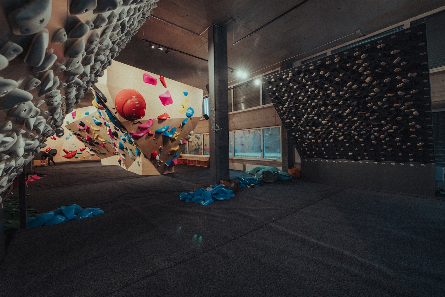 Training & Regeneration